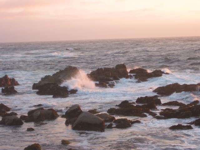 2004/06 June/Monterey Big Sur/640x480_IMG_0855.JPG